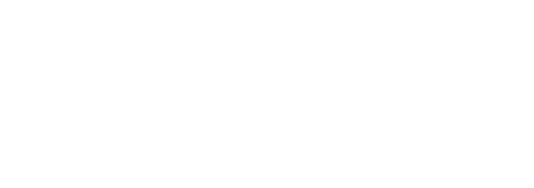 redsys-gris-1.png