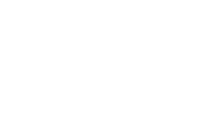 verified-visa-gris-1.png